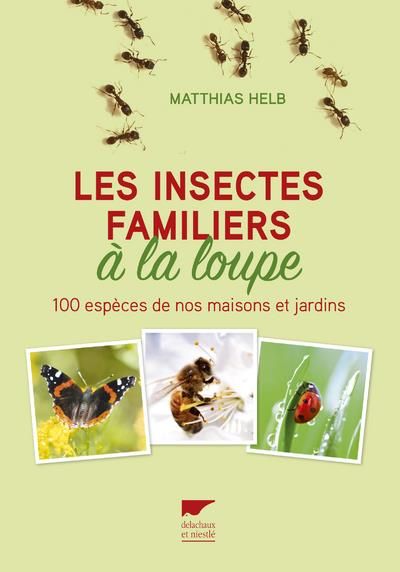 Emprunter Les insectes familiers à la loupe. 100 espèces de nos maisons et jardins livre