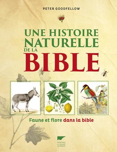 Emprunter Une histoire naturelle de la bible. Faune et flore dans la bible livre