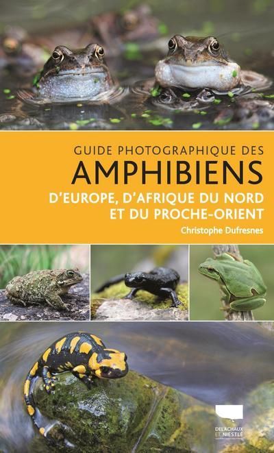 Emprunter Guide photographique des amphibiens. D'Europe, d'Afrique du Nord et du Proche-Orient livre