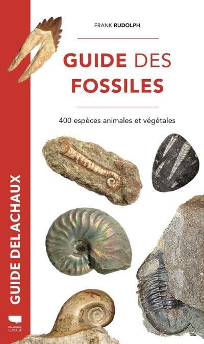 Emprunter Guide des fossiles. 400 espèces fossiles végétales et animales livre