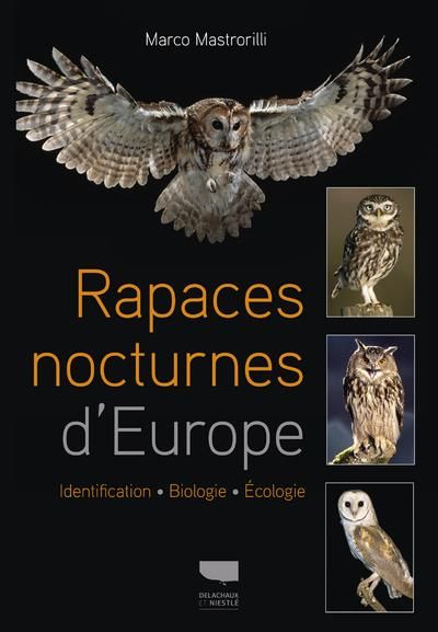 Emprunter Rapaces nocturnes d'Europe. Identification - Biologie - Ecologie livre