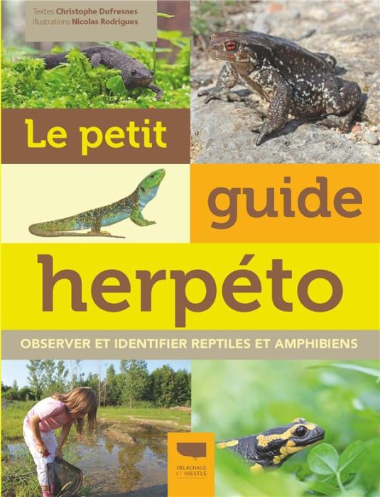 Emprunter Le petit guide herpéto. Observer et identifier reptiles et amphibiens livre