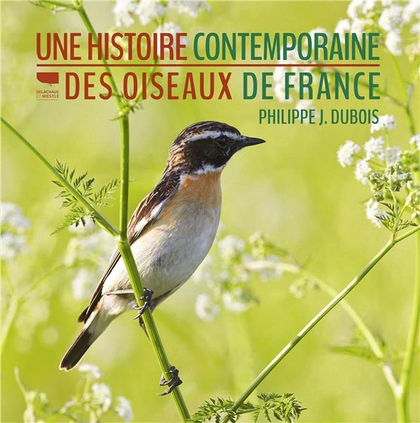 Emprunter Une histoire contemporaine des oiseaux de France livre