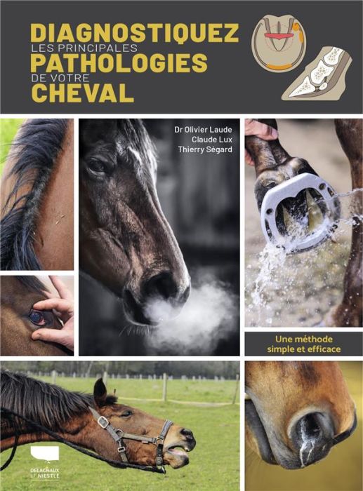 Emprunter Diagnostiquer les principales pathologies de votre cheval. Une méthode simple et efficace. livre