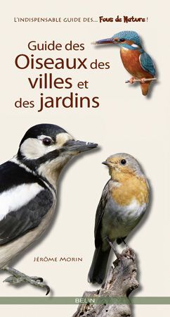 Emprunter Guide des oiseaux des villes et des jardins livre