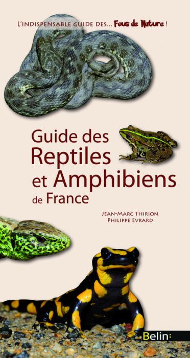 Emprunter Guide des reptiles et amphibiens de France livre