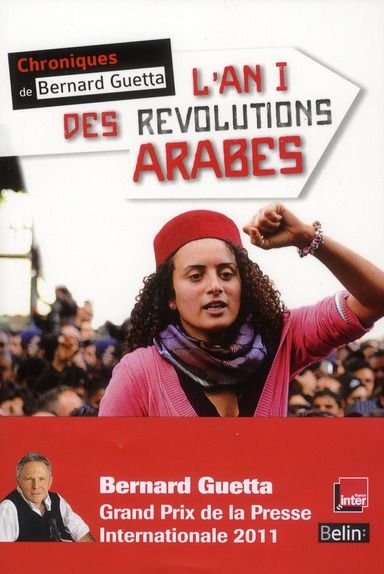 Emprunter L'An I des révolutions arabes livre