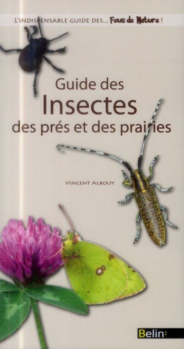 Emprunter Guide des insectes des prés et des prairies livre
