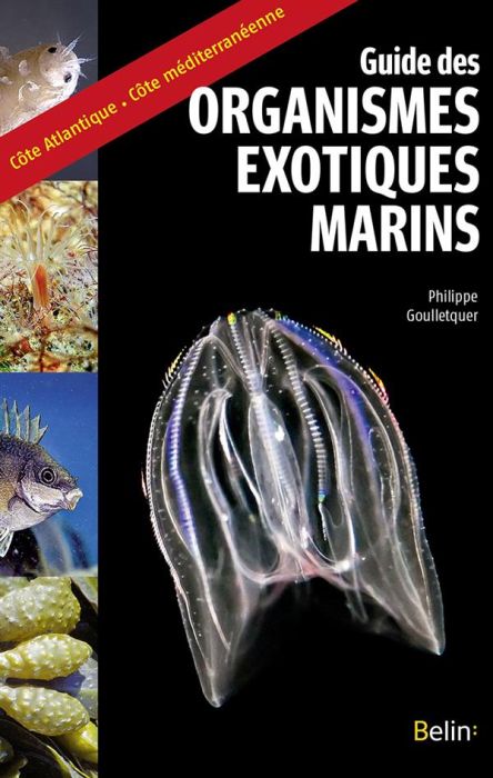 Emprunter Guide des organismes exotiques marins livre