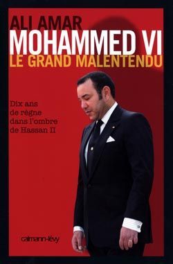 Emprunter Mohammed VI. Le grand malentendu livre