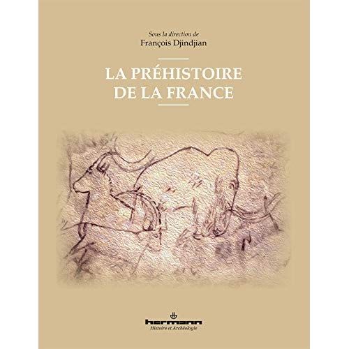 Emprunter La préhistoire de la France livre