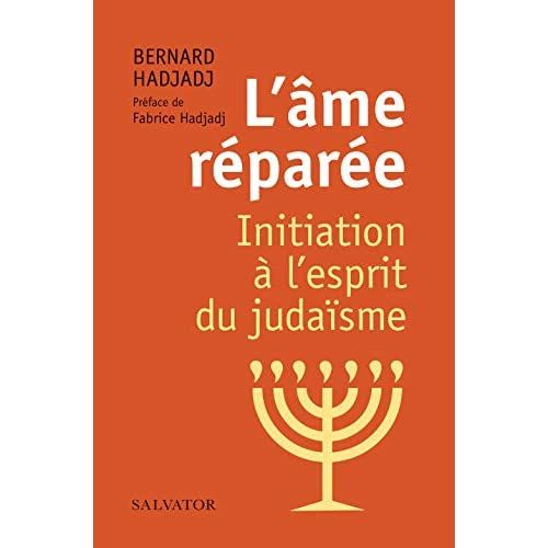 Emprunter L'AME REPAREE - INITIATION A L'ESPRIT DU JUDAISME livre