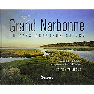 Emprunter Le grand Narbonne livre