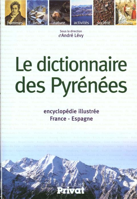 Emprunter Le dictionnaire des Pyrénées livre