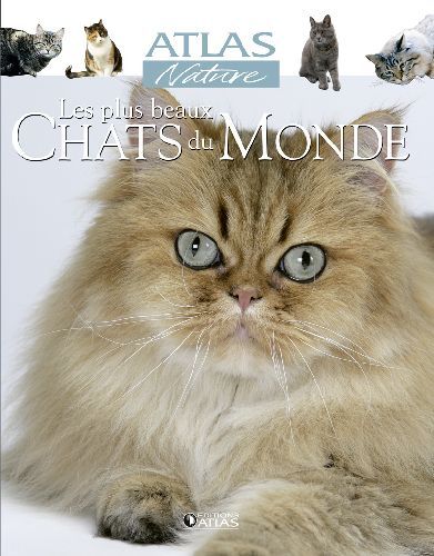Emprunter Les plus beaux Chats du Monde livre