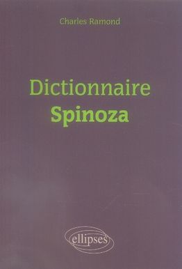 Emprunter Dictionnaire Spinoza livre