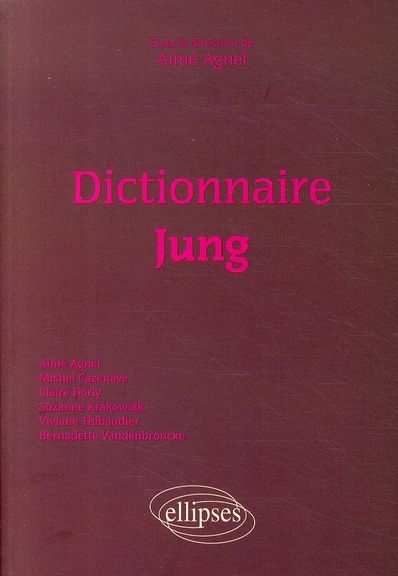 Emprunter Dictionnaire Jung livre