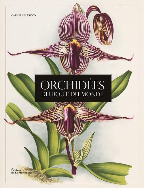 Emprunter Orchidées du bout du monde livre