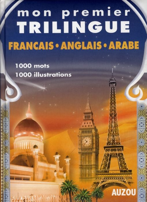 Emprunter Dictionnaire français anglais arabe livre