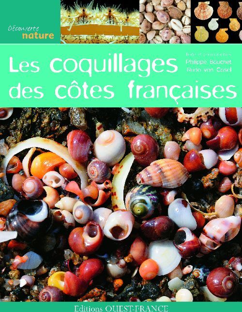 Emprunter Les coquillages des côtes françaises livre