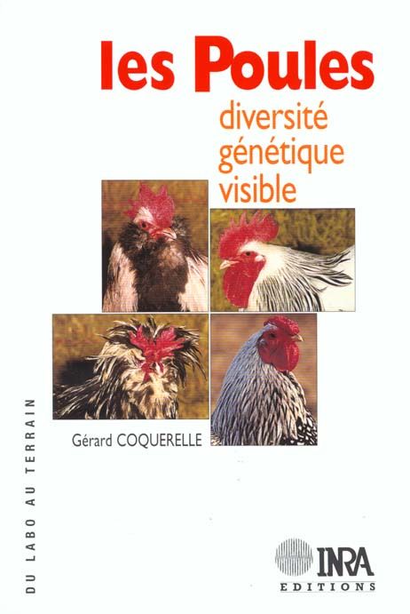 Emprunter Les Poules. Diversité, génétique visible. livre