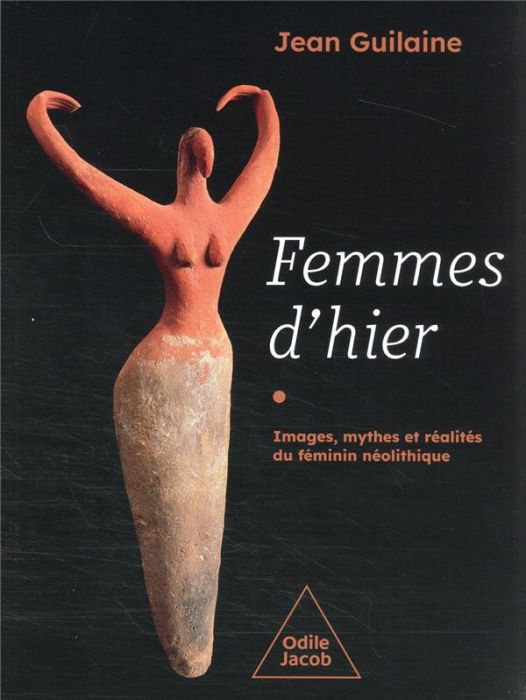 Emprunter FEMMES D'HIER - IMAGES, MYTHES ET REALITES DU FEMININ NEOLITHIQUE livre