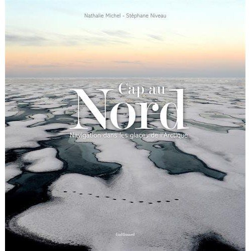 Emprunter Cap au nord. Navigation dans les glaces de l'Arctique livre