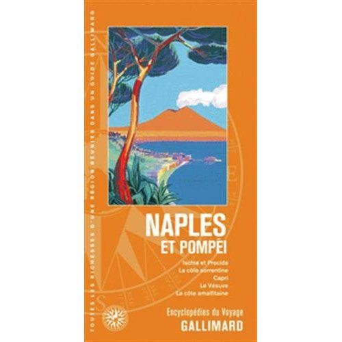 Emprunter Naples et Pompéi livre