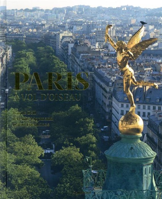 Emprunter Paris à vol d'oiseau livre