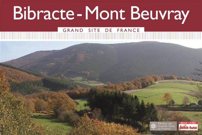 Emprunter Bibracte-Mont Beuvray livre