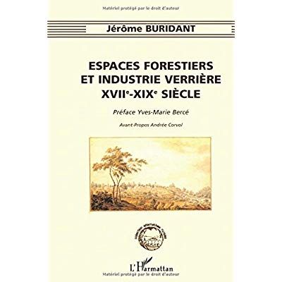 Emprunter Espaces forestiers et industrie verrière, XVIIe-XIXe siècle livre