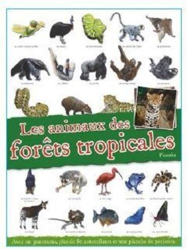 Emprunter Les animaux des forêts tropicales. Avec un panorama, plus de 80 autocollants et une planche de pocho livre