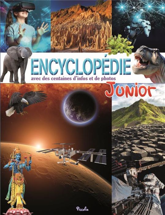 Emprunter Encyclopédie junior avec des centaines d'infos et de photos livre