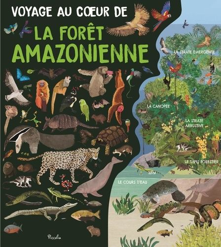 Emprunter Voyage au coeur de la forêt amazonienne livre