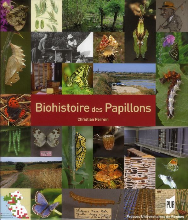 Emprunter Biohistoire des papillons. Diversité et conservation des lépidoptères rhopalocères en Loire-Atlantiq livre