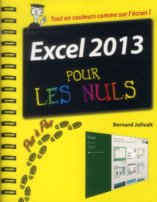 Emprunter Excel 2013 pas à pas pour les Nuls livre