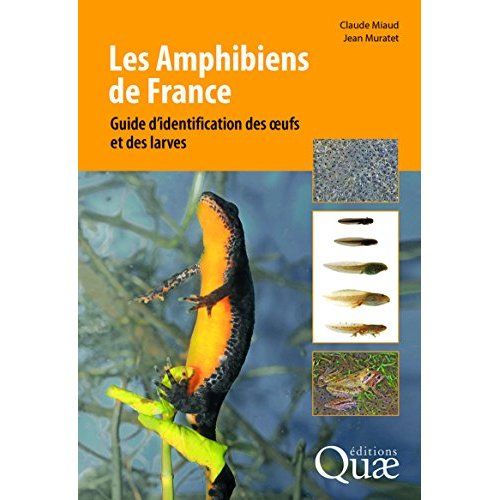 Emprunter Les amphibiens de France / Guide d'identification des oeufs et des larves livre
