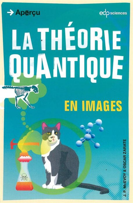 Emprunter La théorie quantique en images livre