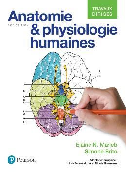 Emprunter Biologie humaine. Principes d'anatomie et de physiologie, 12e édition livre