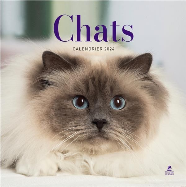 Emprunter Calendrier chats. Edition 2024 livre