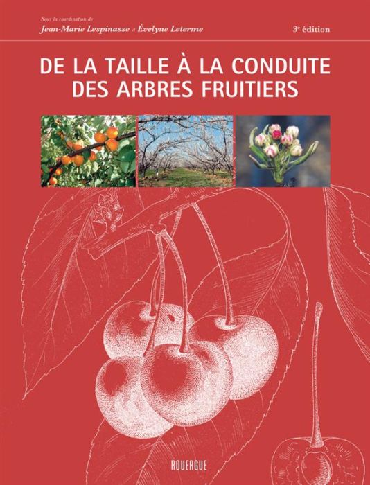 Emprunter De la taille à la conduite des arbres fruitiers. 3e édition livre