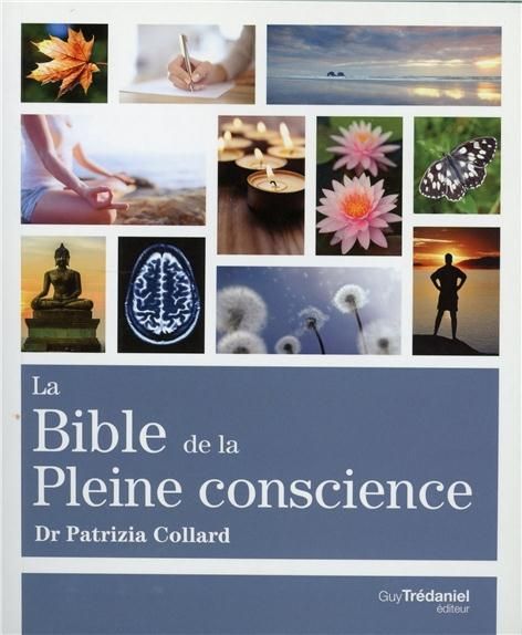 Emprunter La bible de la pleine conscience livre