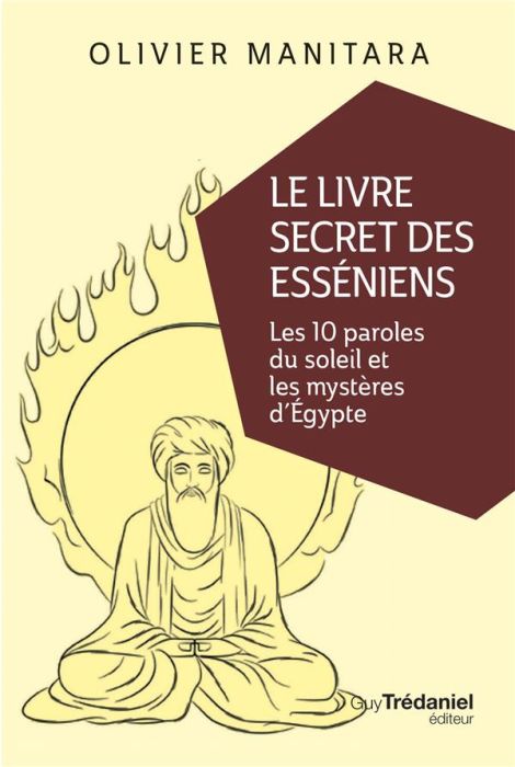 Emprunter Le livre secret des Esséniens livre