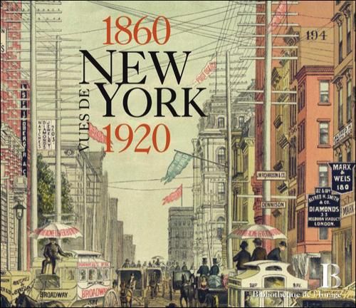 Emprunter Vues de New-York 1860-1920 livre