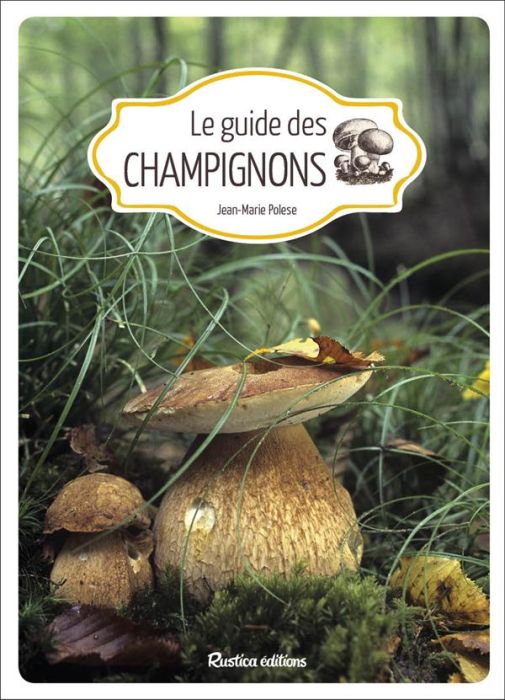 Emprunter Le guide des champignons livre