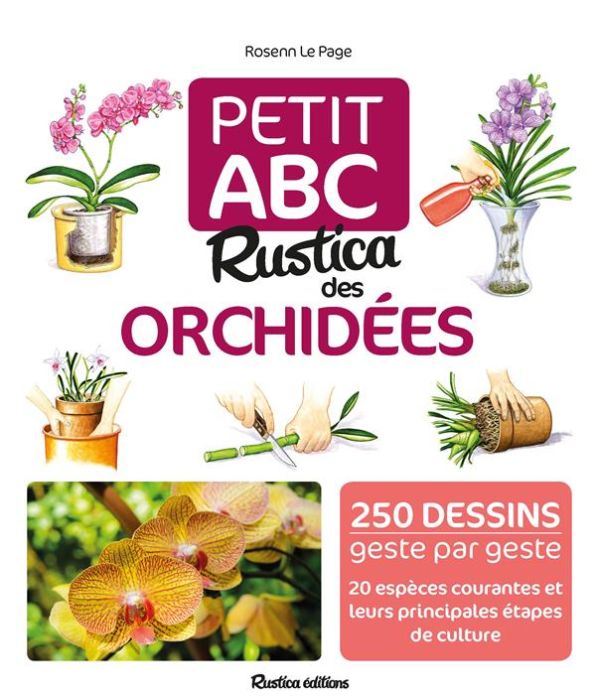 Emprunter Petit ABC Rustica des orchidées livre