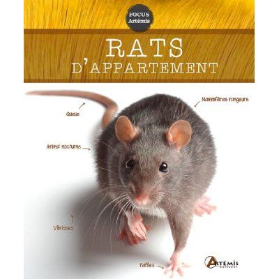 Emprunter Rats d'appartement livre