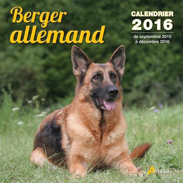 Emprunter CALENDRIER BERGER ALLEMAND - 2016 livre