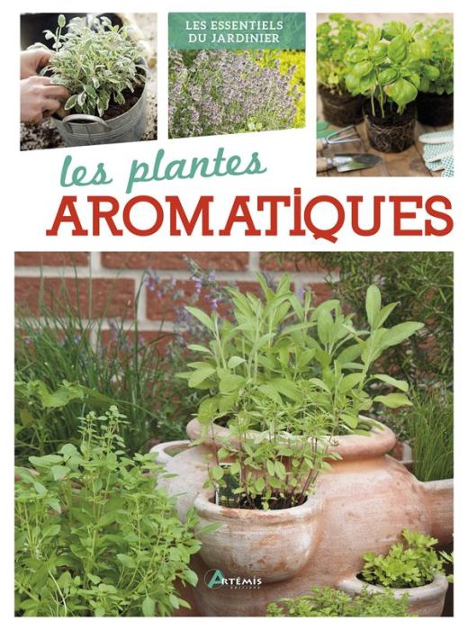 Emprunter Plantes aromatiques livre
