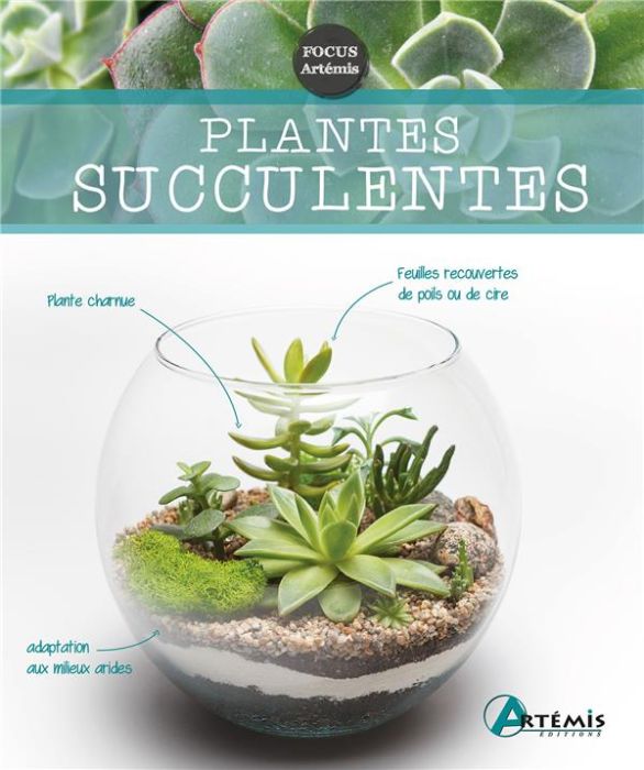 Emprunter Plantes succulentes livre